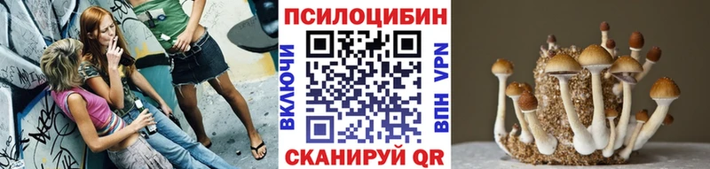 гидра ССЫЛКА  Каргополь  Галлюциногенные грибы GOLDEN TEACHER 